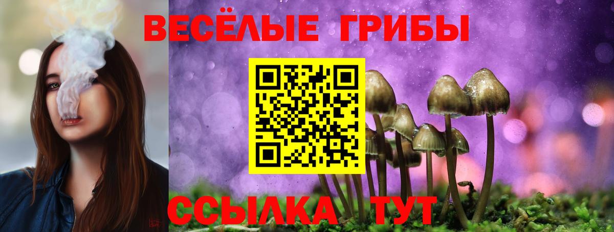 Галлюциногенные грибы Psilocybine cubensis  Вход с VPN  Королёв 